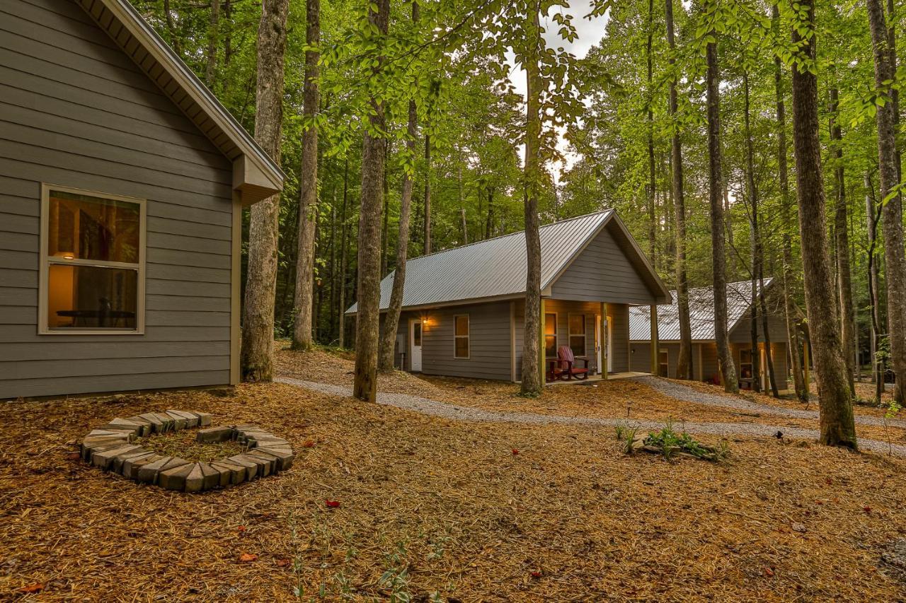 Villas At Gingershack Farms Ellijay Exterior photo
